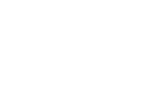 Center Vet